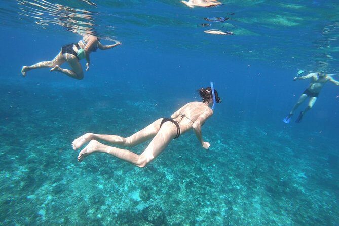 Tour Cozumel Snorkel Experience! Lunch & Transportation only from Cancun - FAQ
