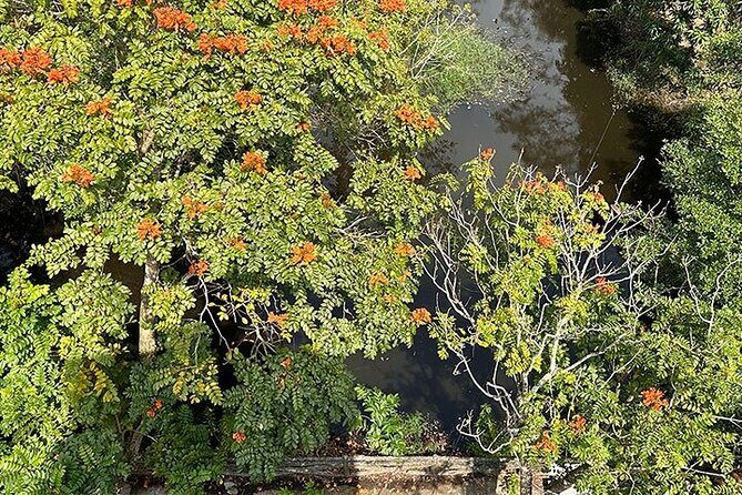 Tour for Nature lover- Lung Ngoc Hoang Nature Reserve in Can Tho - In-Depth Review of Lung Ngoc Hoang Tour