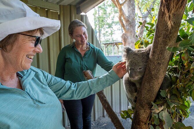 Tour from Eden to Merimbula Wetlands Wildlife and Coastline - Who Should Consider This Tour?