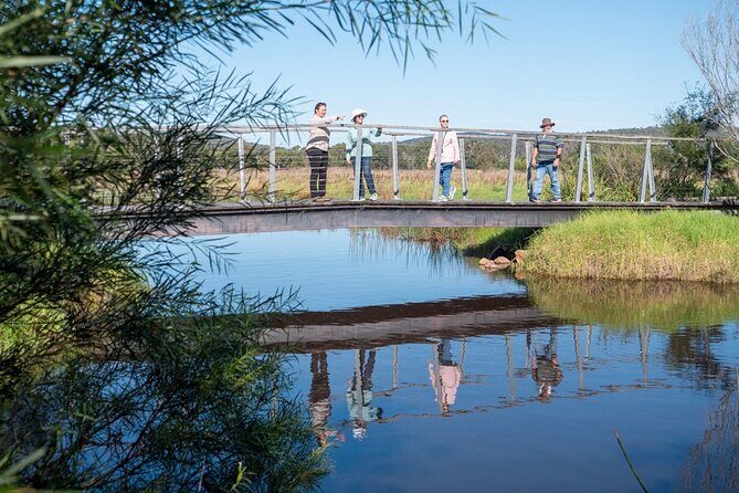 Tour from Eden to Merimbula Wetlands Wildlife and Coastline - The Sum Up: Who Will Love This Tour?