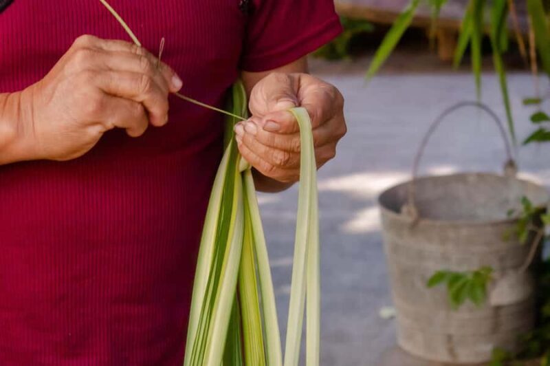 Tour from Mérida to Campeche: Jipijapa hat, history, regional food. - FAQ