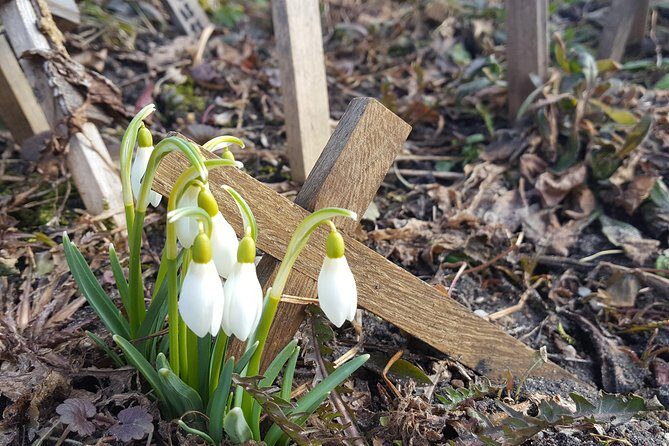 Tour from Riga - Vilnius via Bauska, Rundale, The Hill of Crosses - The Sum Up: Who Will Love This Tour