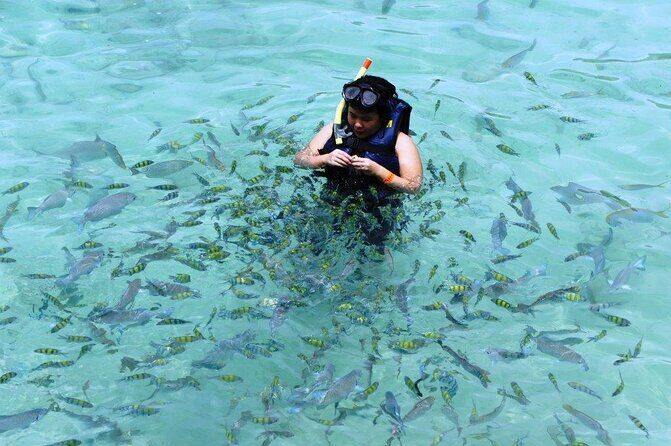 Tour Full Day Guided Huatulco Bays + Pickup + Refreshments + Gift !! - Key Points