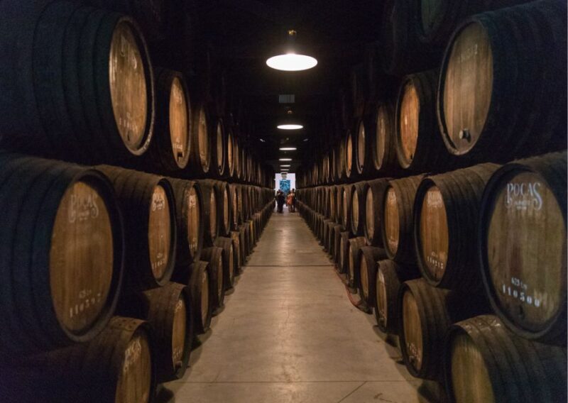 Tour & Gastronomic Experience: Carpaccio, Salmon & Cheeses - Who Will Love This Tour?