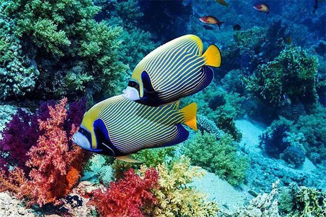 Tour Gate of Heaven at Lempuyang Temple - Blue Lagoon Snorkeling with lunch - Final Thoughts