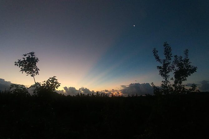 Tour Herpetologico - Exploring the Jungle with a Guide