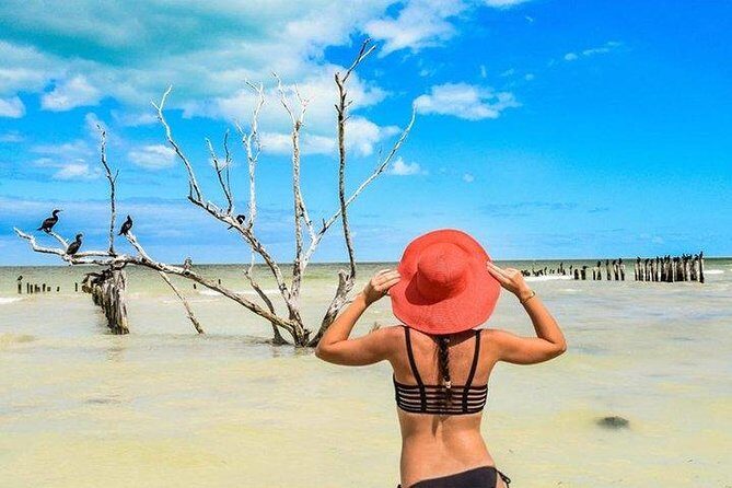 Tour Holbox Plus from Riviera Maya - FAQ about the Holbox Plus Tour