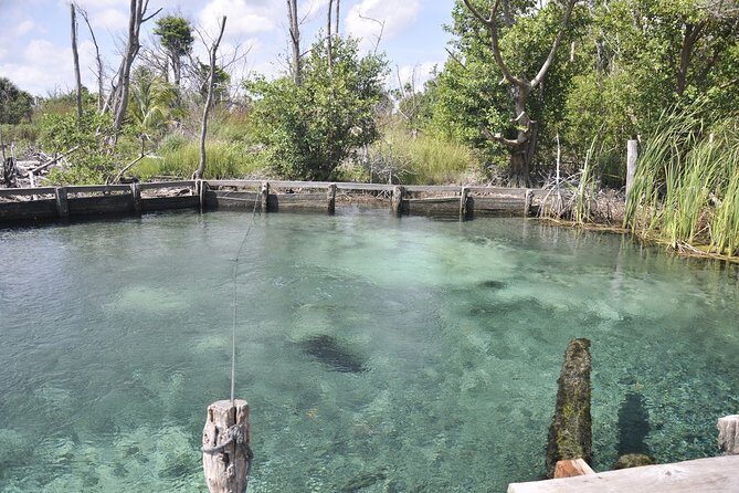 Tour Holbox - Two Island & Cenote from Cancun & Playa Del Carmen - Who Will Love This Tour?