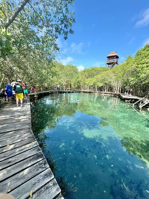 Tour in Italian in Holbox - FAQs