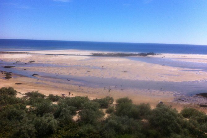 Tour in Paradise: Ria Formosa - Final Thoughts: Is This Tour Right for You?