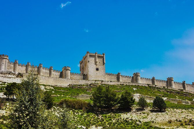 Tour in Ribera del Duero "like a native", with traditional Spanish tapas - A Closely-Nuanced Look at the Tour