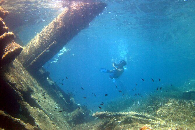 Tour in rubber dinghy and snorkeling in the Protected Marine Area of Tavolara - FAQ