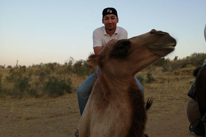 Tour in Samarkand, Bukhara with Nurata (7d6n) - The Bottom Line: Is This Tour for You?