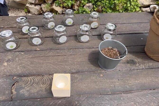 Tour in the heady scents of our garden in Ragusa - The Experience: What to Expect from the Garden Tour in Ragusa