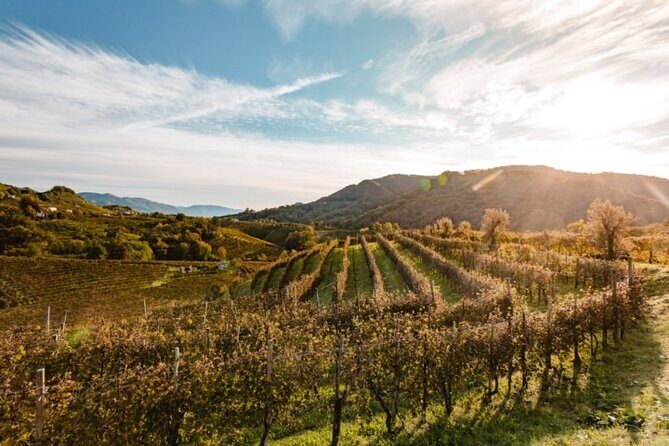 Tour in the Prosecco Hills Tour from Padua - A Deep Dive Into the Prosecco Hills Tour
