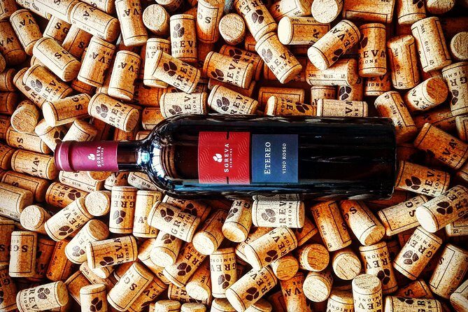 Tour in the Winery and tasting - Guides and Hospitality