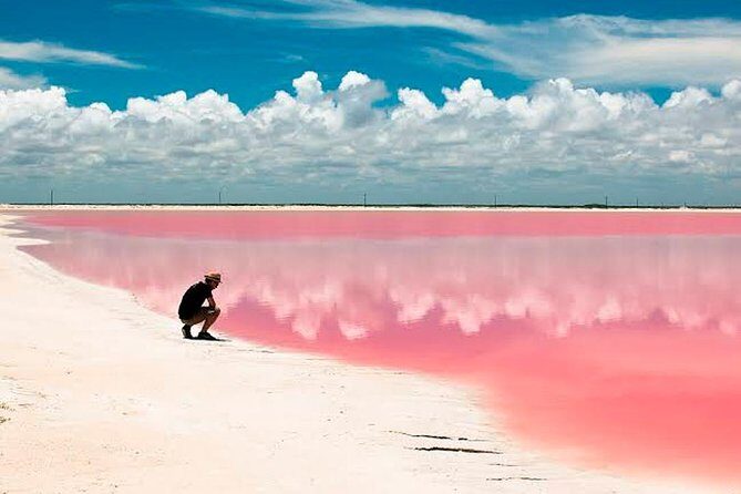 Tour Las Coloradas & Rio Lagartos from Riviera Maya - FAQ