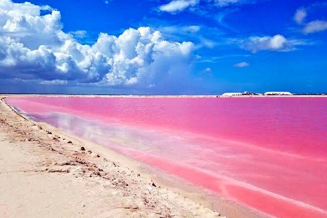 Tour Las Coloradas & Rio Lagartos only from Tulum - Who Will Love This Tour?