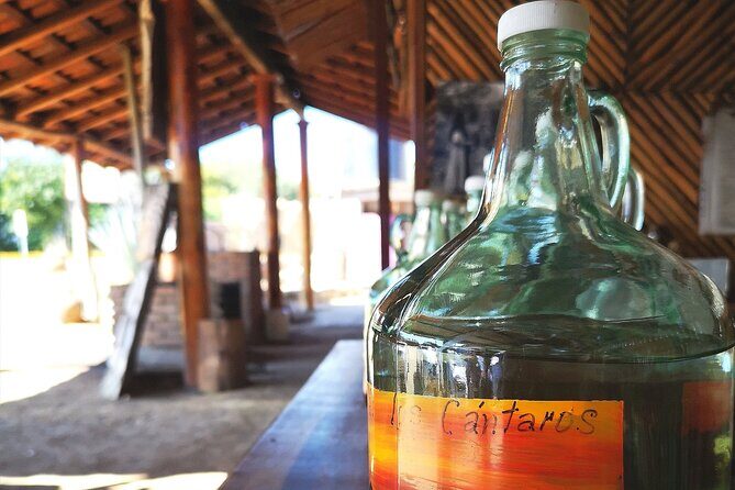 Tour Los Caminos del Mezcal Café and Pedal Loom Factory - Introduction: What’s this tour all about?