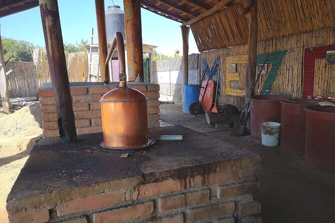 Tour Los Caminos del Mezcal Café and Pedal Loom Factory - Key Points