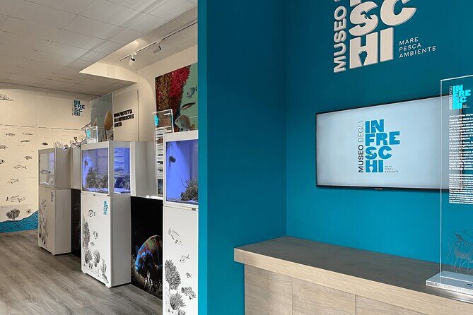 Tour "Masseta" by scooter from Marina di Camerota - Introduction: What You Can Expect from the "Masseta" Scooter Tour