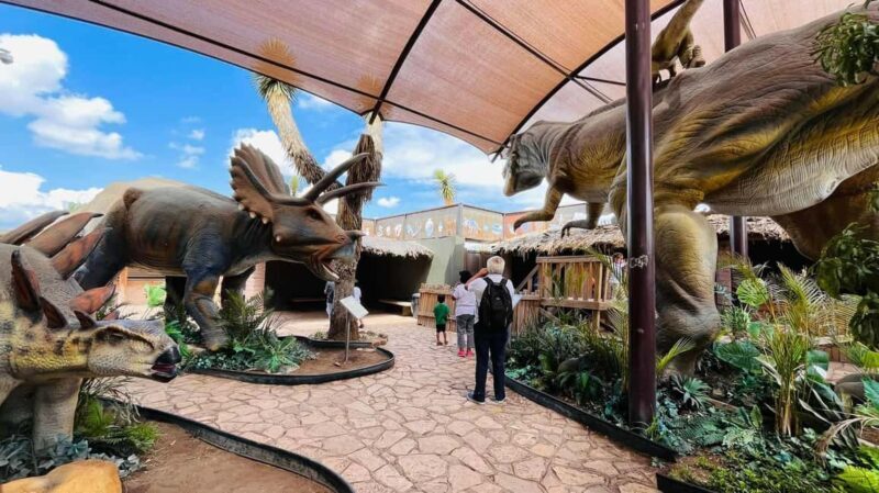 TOUR "Museo del Desierto" + Traslados + Tickets incluidos - Exploring the Desert Museum in Saltillo: The Heart of the Tour