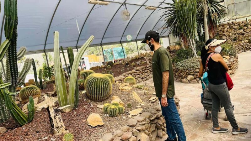 TOUR "Museo del Desierto" + Traslados + Tickets incluidos - Why This Tour Works and Who It’s For