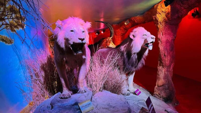 TOUR "Museo del Desierto" + Traslados + Tickets incluidos - Final Thoughts