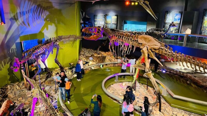 TOUR "Museo del Desierto" + Traslados + Tickets incluidos - FAQs