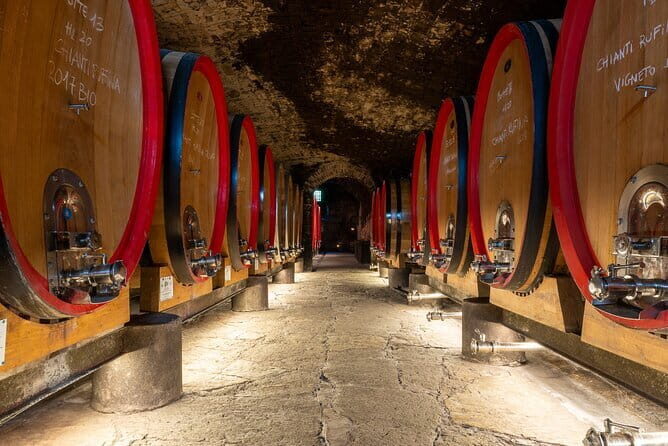 Tour of 900year old secret cellars + tasting of 3 wines and bread with EVO oil - Key Points