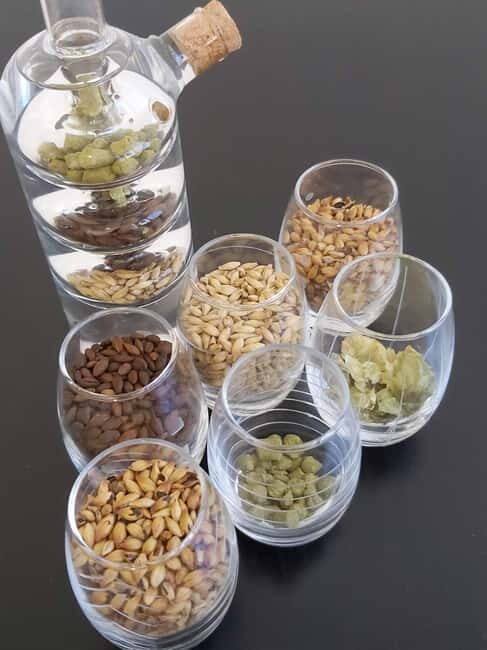 Tour of a craft brewery with tasting - An In-Depth Look at the Nova Vida Brewery Tour