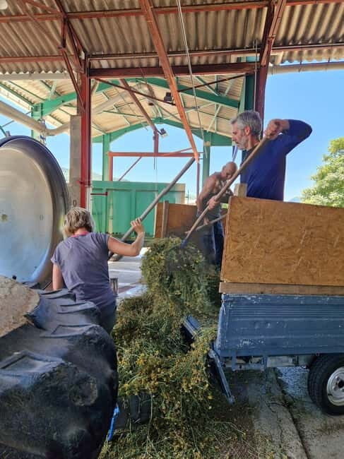Tour of a family-run lavender essential oil distillery - A Closer Look at the Lavender Distillery Tour in France