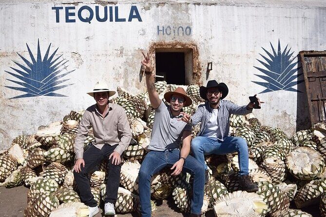Tour of El Castillo Distillery to Cantaritos Experience - The Sum Up: Who Is This Tour Best For?