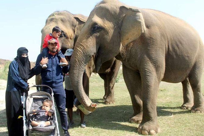 Tour of Elephant Conservation and Bear Rescue Center From Agra - Who Should Consider This Tour?