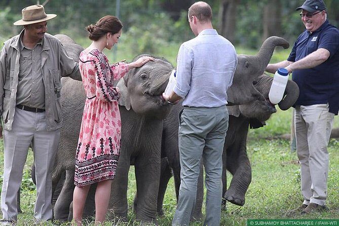 Tour of Elephant Conservation and Bear Rescue Center From Agra - FAQs