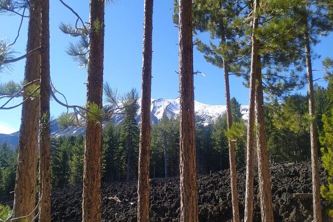 Tour of Etna on foot, food and wine tasting in the Etna winery - What Travelers Say: Authentic Insights from Reviews