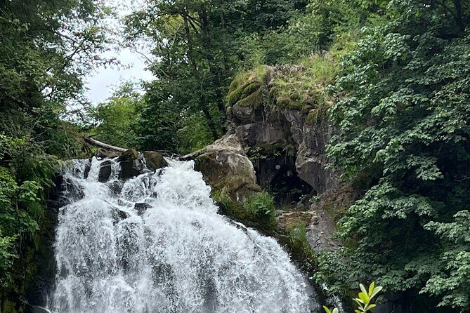 Tour of Fort Clatsop, Youngs River Falls & Warrenton Countryside - Discover Oregon’s North Coast: Fort Clatsop, Youngs River Falls & Warrenton Countryside Tour Review
