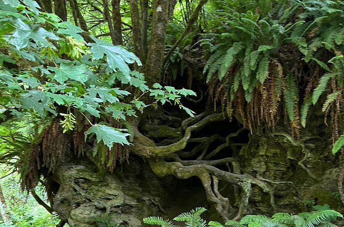 Tour of Fort Clatsop, Youngs River Falls & Warrenton Countryside - FAQs