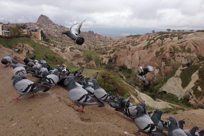 Tour of Highlights of Cappadocia with Lunch - Final Thoughts: Is This Tour Right for You?