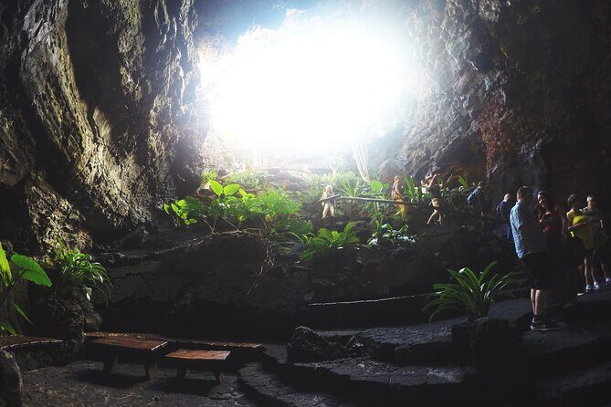 Tour of Jameos del Agua, Cueva de los Verdes and Viewpoint from the cliffs - Who Should Consider This Tour?