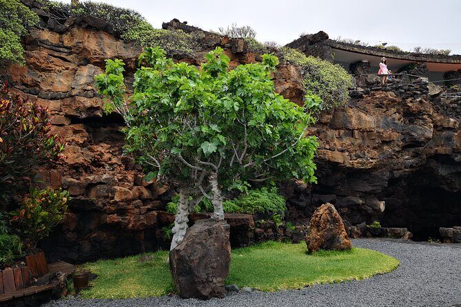 Tour of Jameos del Agua, Cueva de los Verdes and Viewpoint from the cliffs - Final Thoughts