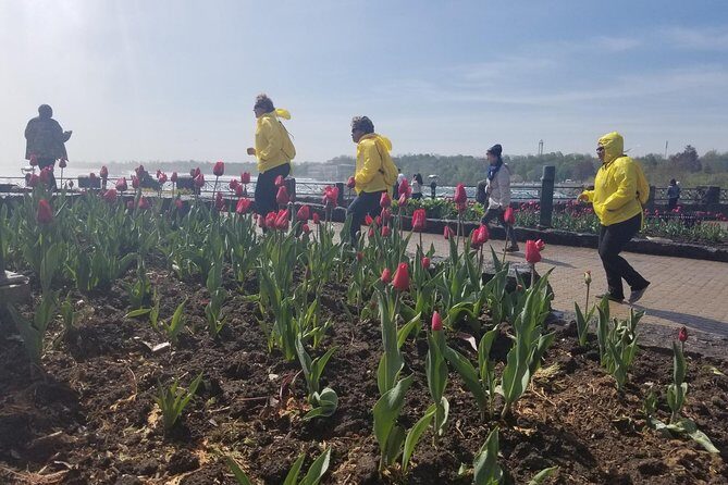 Tour of Niagara Falls with Boat Cruise - The Sum Up: Who Should Consider This Tour?