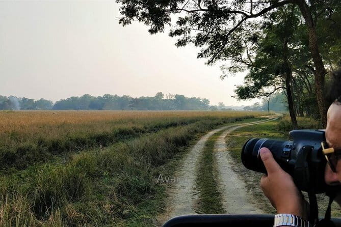 Tour of Pobitora Wildlife Sanctuary from Guwahati with Safari, Lunch and Guide - How It Compares to Other Wildlife Tours