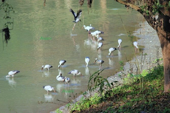 Tour of Pobitora Wildlife Sanctuary from Guwahati with Safari, Lunch and Guide - FAQ