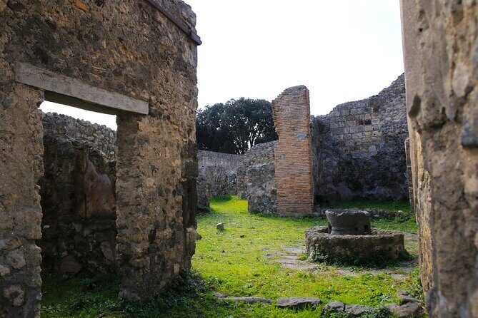 Tour of Pompeii with Skip the Line Tickets & Exclusive Guide - FAQs