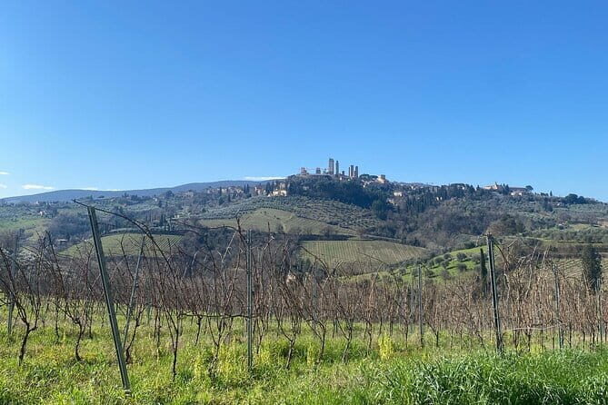 Tour of San Gimignano and Private Wine Experience in Chianti - Returning to Florence: A Relaxed Finish