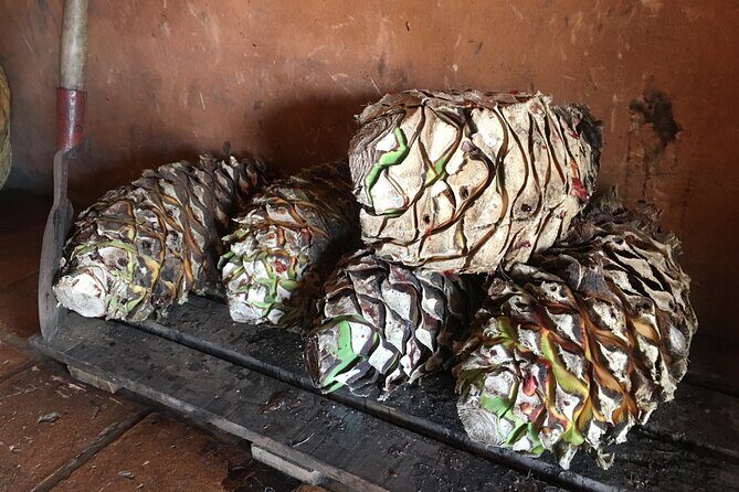 Tour of San Sebastián del Oeste with Lunch - Final Thoughts