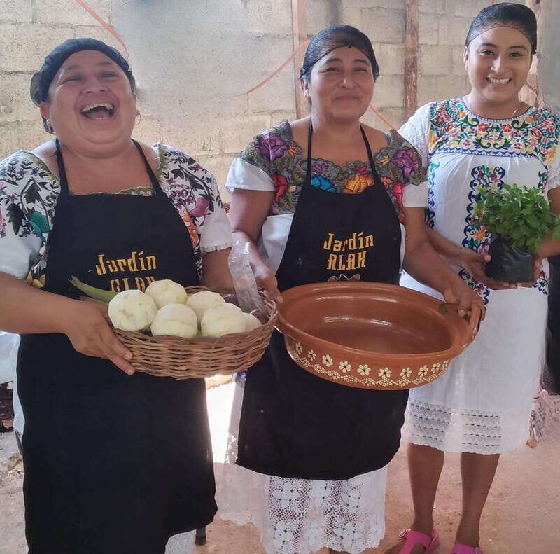TOUR OF THE 4 BACABES : EXPERIENCE WITH MELIPONA BEES - An Authentic Introduction to Mayan Meliponiculture
