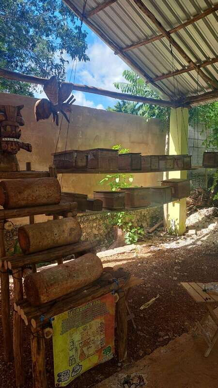 TOUR OF THE 4 BACABES : EXPERIENCE WITH MELIPONA BEES - Why This Tour Works