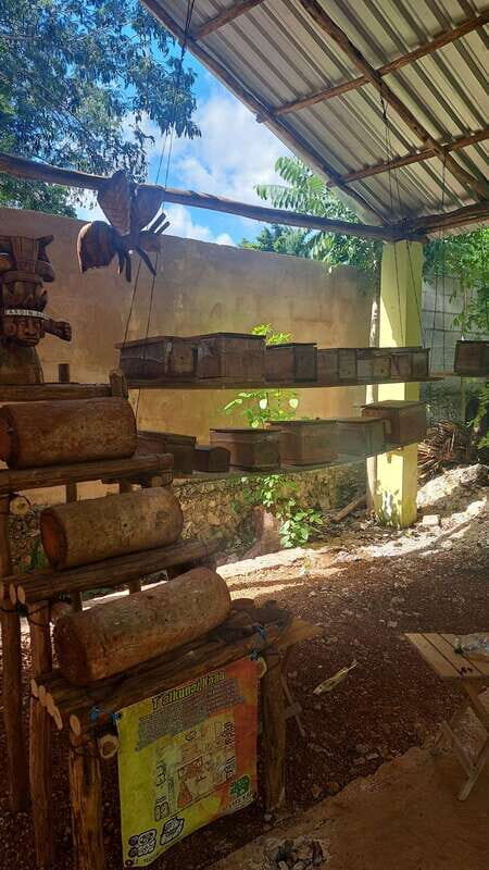 TOUR OF THE 4 BACABES : EXPERIENCE WITH MELIPONA BEES - The Sum Up